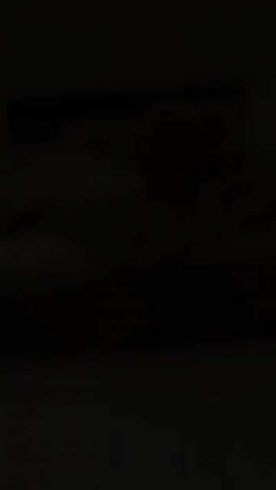 floppa: the ultimate pimp😎