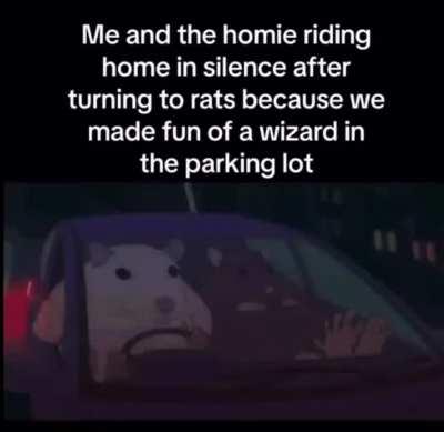 Rats