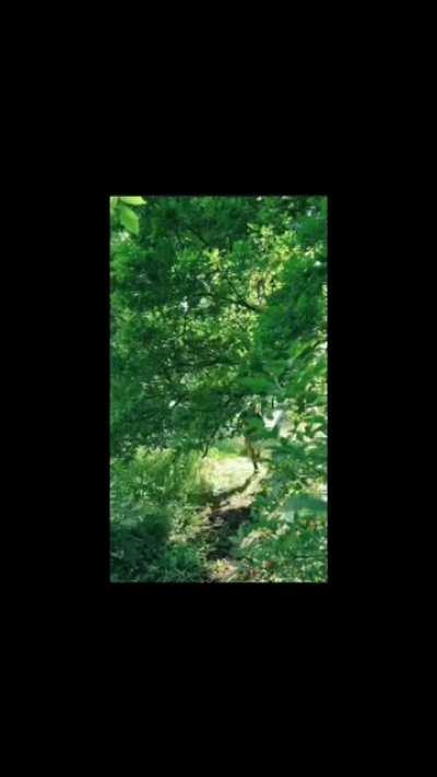 British forced tourism