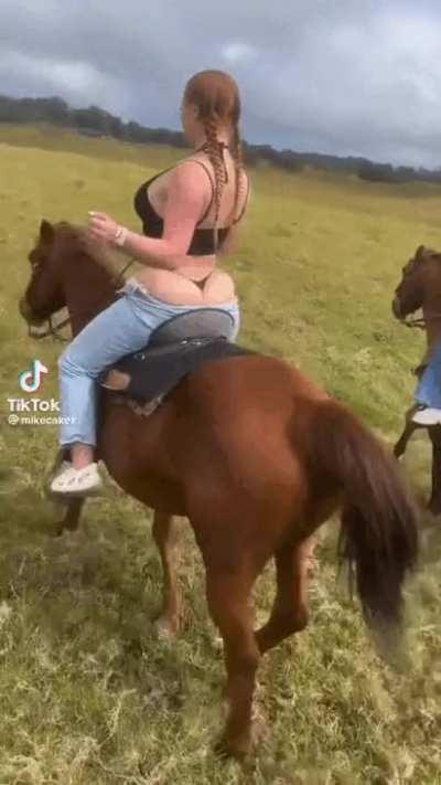 I'm gonna take my horse to the Odl Town Road