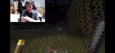 Lots of screams but I just love the last one