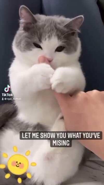 When you didn’t buy his favourite treat while shopping but being cute with him at home