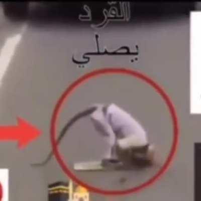 good monke 🙈🙈🙈😻😻📿 📿