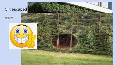 the glaggle bus 😁😁