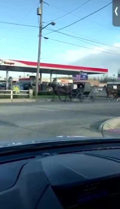Amish Make Their Way To The Polls