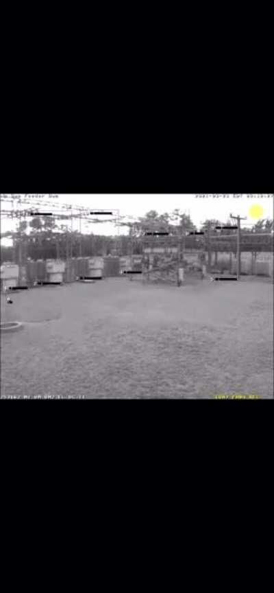 Squirrel + power line = power outage