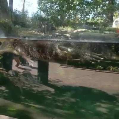 This guy holding a watermelon for some reason.