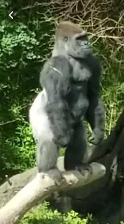 Excited for Tomorrow 🚀