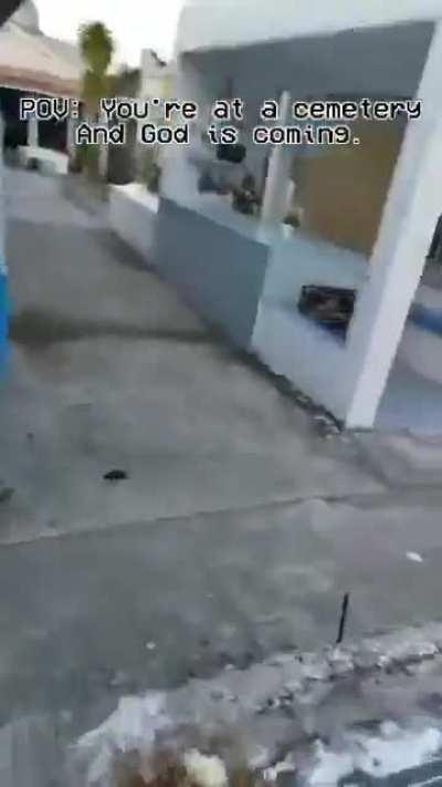 Goofy Squirrel Stapler reference