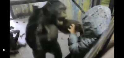 Apes tits jacked they are today. May the crayons be with you 🚀🚀🚀🚀🚀🦍🦍🦍🦍💎🙌💎