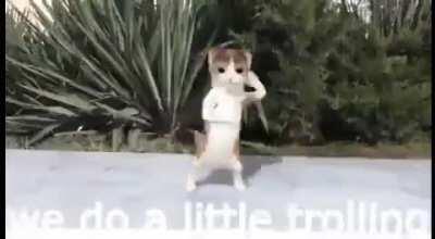 we do a little trolling