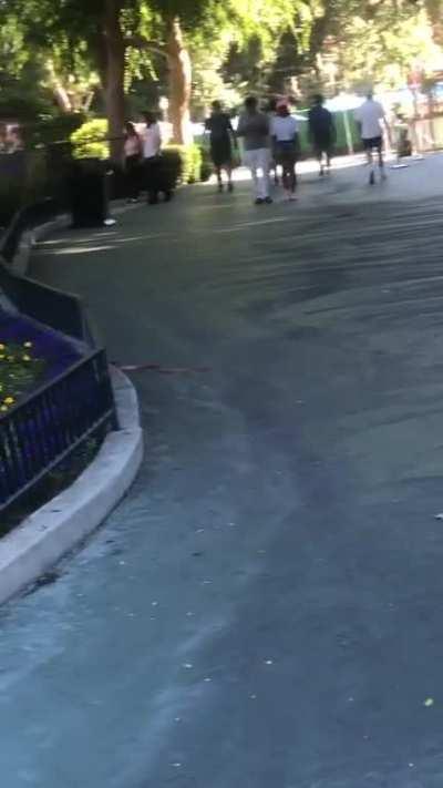 Anybody happen to be at the park yesterday and see this snake? It was trying to eat a very large lizard and the lizard got away and then it scrambled to try to re-catch itâs dinner. It fittingly felt very Loony Toons