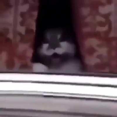 “Why’s he doing that?!”