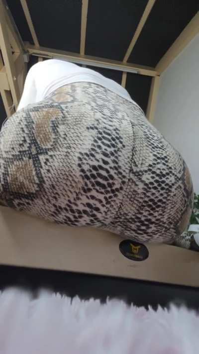 Shake the fart out of me 👸💨