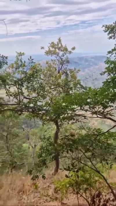 Nice View. Heil Spez