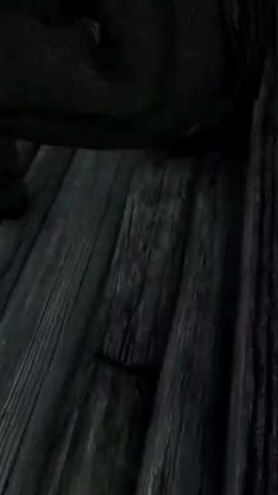 I'm not going to Sovngard