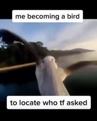 Seriously who did though