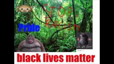 Zrobiliśmy to redicie, rasizm na świecie uratowany 👱🏻🤜🏻🤛🏿🐵