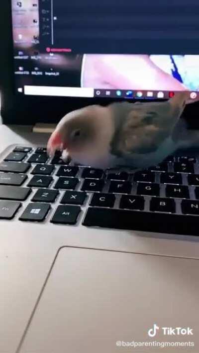 AYO! GOVERNMENT DRONE WRITE SECRET CODE ON STUDENT'S HOMEWORK