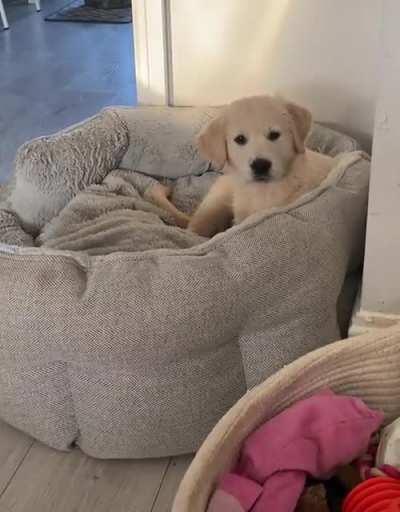 Little Lily has landed!