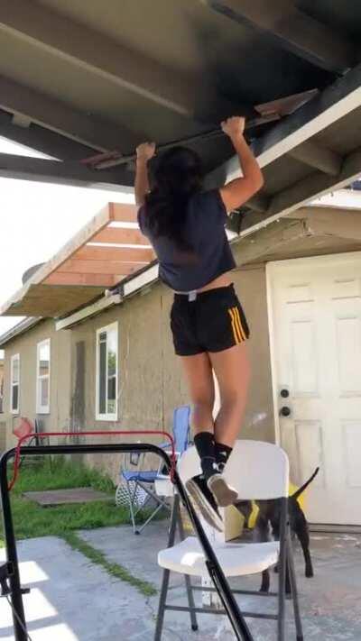 Dog puts the chair back under human’s feet who’s doing pull-ups.
