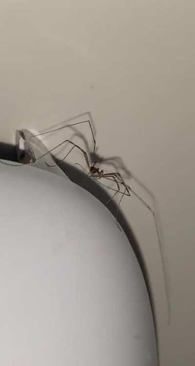 My dawg said put Paper Boi on repeat.