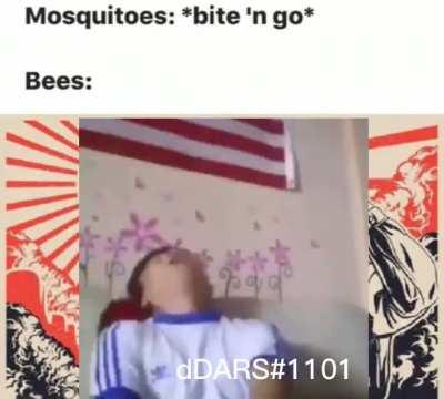japanese bees