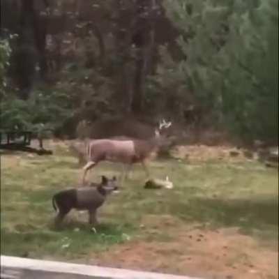 Just doing my thing...