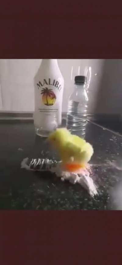 Euphoria Season 2 in a week