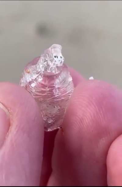 What is this called?