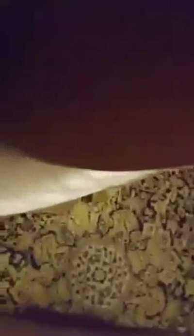 🍑Fatty Innie Pu$$y Desi Girl Hard Fu¢ked At Hotel R00M🥵 . 5Min📹 .. ( LINK🖇️ IN CÒMMENT👇) .|