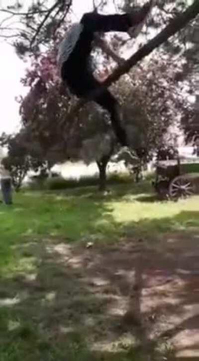 Trying to impress someone?