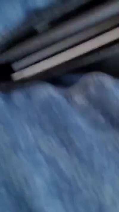 5000 pesos a cada acarreado de BC para viajar a CDMX en su acarreo masivo para el inicio de Campaña de la campaña de Claudia 