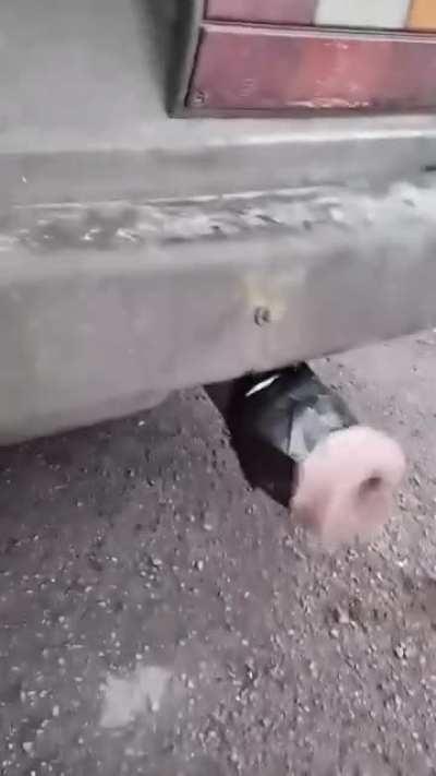 This is Your Car Now.