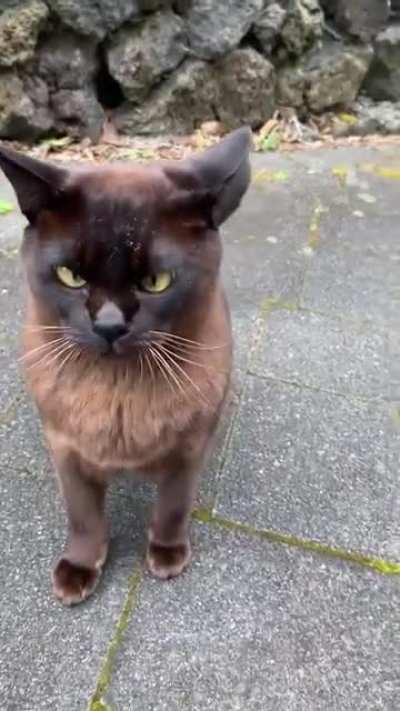 Bruce doesn't like cameras.