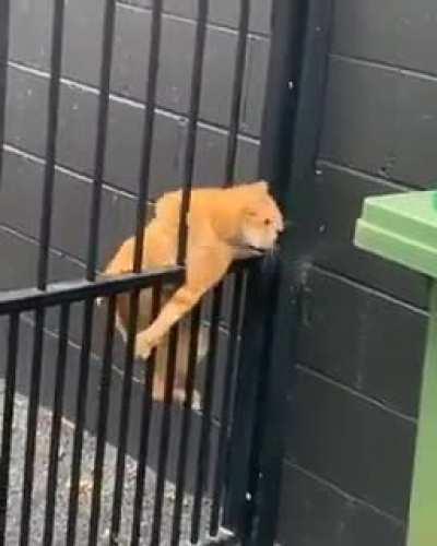 Learn from the efforts of others.....!!!!😄