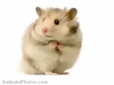 update on my injured humanitarian i think he's tripping off the thc vape i  gave him 🙁🙁🙁🙁🙁🙁🥸🥸🥸😎😎😎😎🫢🫢🫢🫢🫢