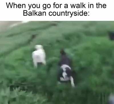 How accurate is this?