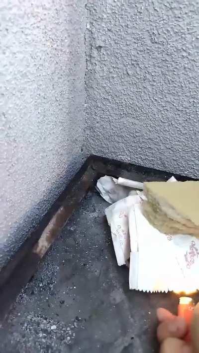 El yapımı patlayıcım fıs etti diye IŞİD kabul sınavdından geçemedim😔