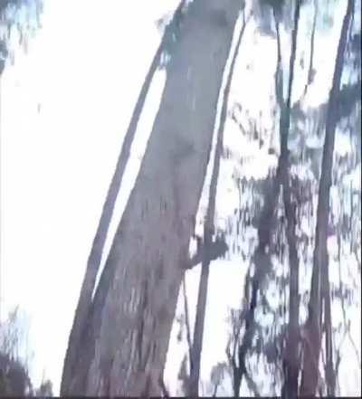 Meanwhile in Poland (Kurwa moment)