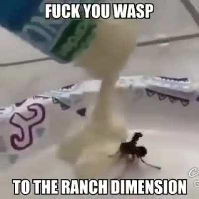 to the ranch dimension