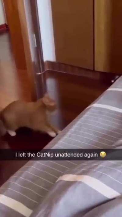 When half of the cat is overpowered