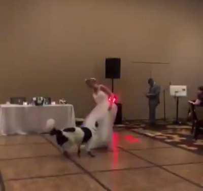 Her dog just shows off his moves on her wedding . Their moment is so priceless . This two are amazing !