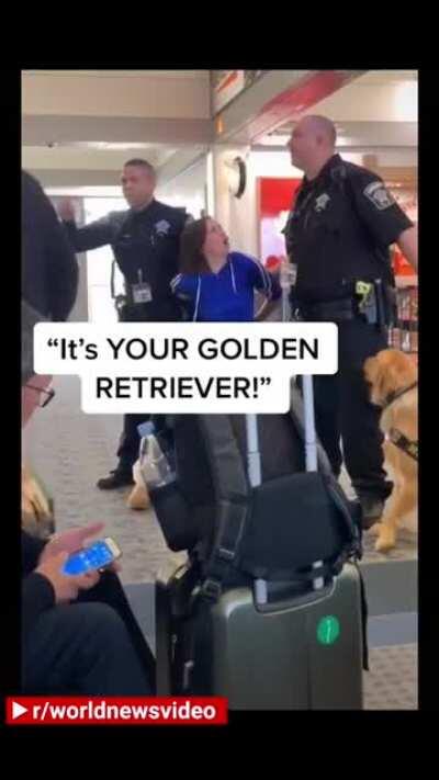 Crazy lady at the airport would rather be touched by the golden retriever