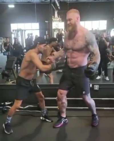 Teofimo Lopez vs The Mountain trading body shots! I would have both piss and shit myself 💦💩