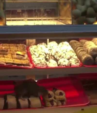 No cualquiera puede convertirse en un gran artista, pero un gran artista puede provenir e cualquier lado