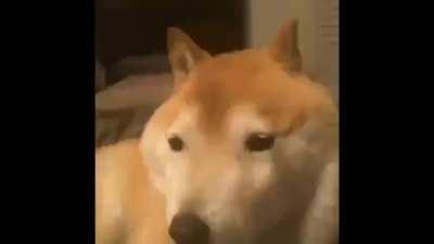 Hey you! STOP BEING HORNY!