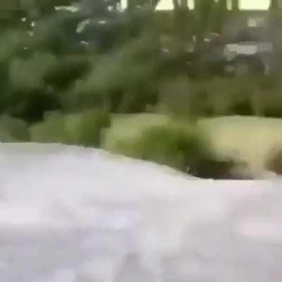 This man should go buy a lottery ticket