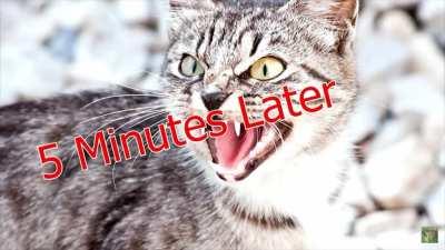 I’m telling you she is a better...