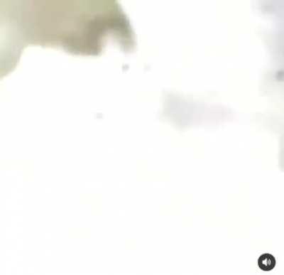 Saci stop please 😭